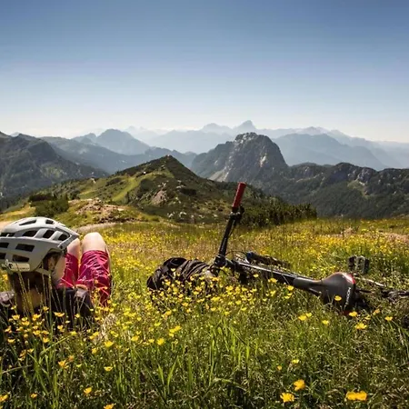Апартаменты Alpenblick Хермагор